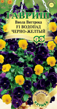 Виола черн,желт