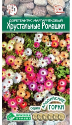 Доротеантус