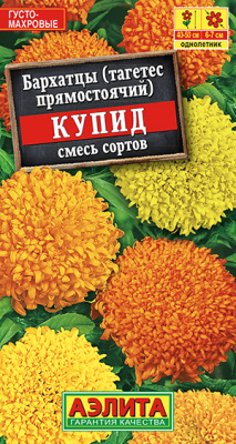 Бархатцы Купид хризантемовидные, смесь сортов_ЦП