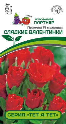 Примула сладкие валентинки