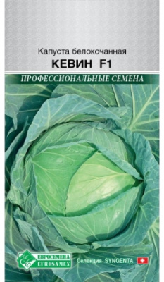 00000015762_1
