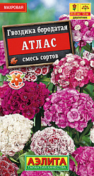 Гвоздика Атлас турецкая махровая, смесь сортов_ЦП
