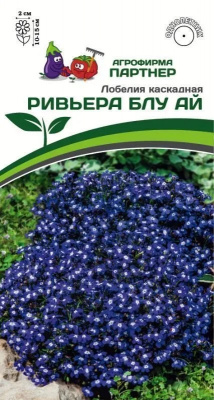 Лобелия ривьера блу ай