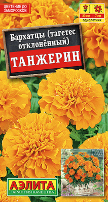 Бархатцы Танжерин обильноцветущие_ЦП