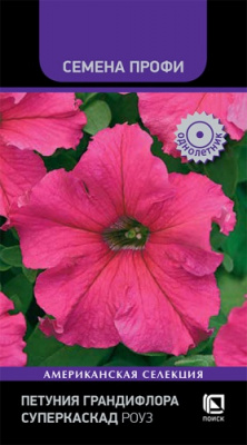 petunia_grandiflora_superkaskad_rouz