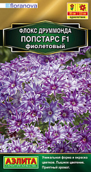 Флокс друммонда Попстарс F1 фиолетовый_ЦП