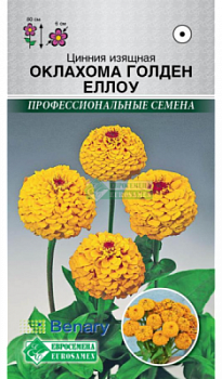 Цинния Оклахома Голден Еллоу