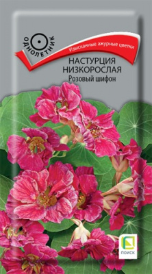 nasturtsiya_nizkoroslaya_rozovyy_shifon