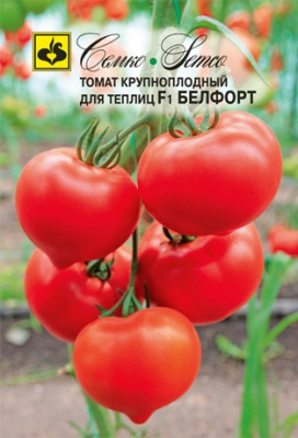 tomat_belfort