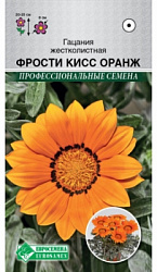 Гацания Фрости кисс оранж