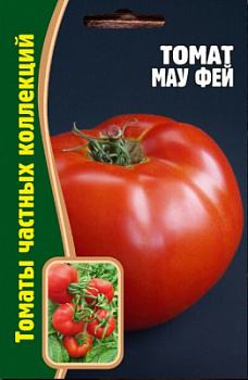 Мау Фей