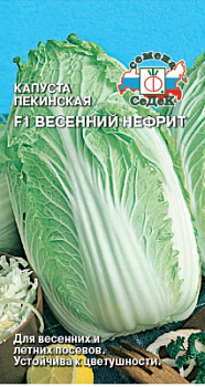kapusta_vesenniy_nefrit_f1