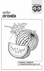 Арбуз Огонек бп