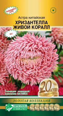 Астра китайская Хризантелла Живой Коралл
