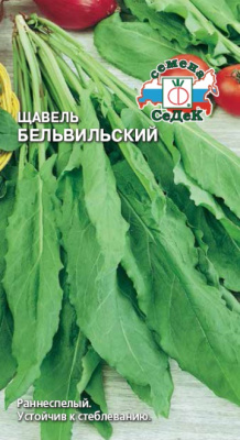 shchavel_belvilskiy