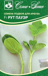 podvoj_arbuz_rut_pauer