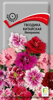 gvozdika_china_imperiallis