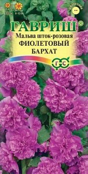 Мальва Фиолетовый бархат
