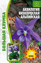 Аквилегия альпийская