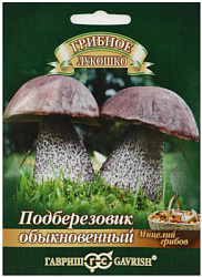 подберезовик