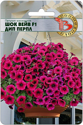 Петуния шок вейв дип перпл