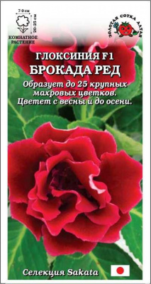 Глоксиния Брокада Ред