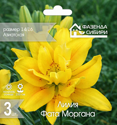 Лилия Фата Моргана