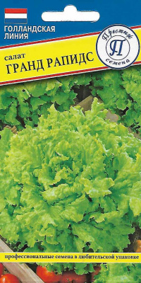 salat_grand_rapid