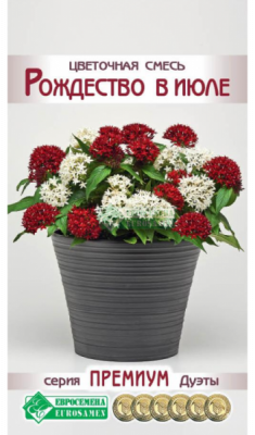 Цветочная смесь Рождество в июле