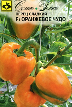 perec_oranzhevoe_chudo1