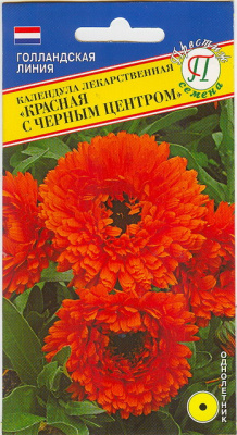 Календула красная с черным центром
