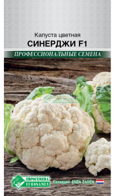 Капуста цветная Синердж