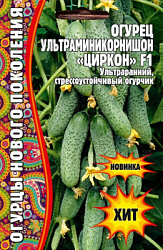 Огурец циркон