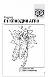 Огурец Клавдия агро