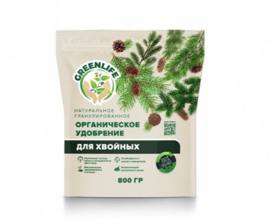 хвойные