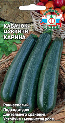 kabachok_karina