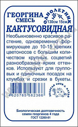 Георгина кактусовидная