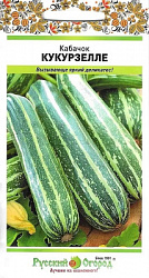 Кабачок Куркурзелле