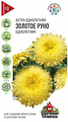 Астра Золотое руно