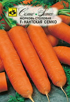 nantskaya_semko