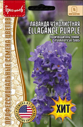 Лаванда узколистная Ellagance Purple