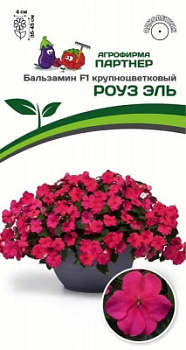Бальзамин роуз эль