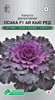 Капуста декоративная Осака Ай Кью Ред