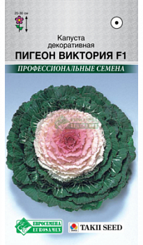 Капуста декоративная Пигеон Виктория