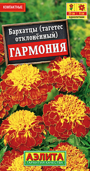 Бархатцы Гармония отклоненные_ЦП