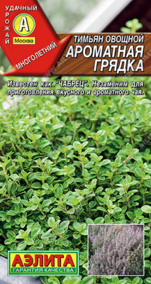 Тимьян Ароматная грядка