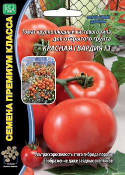 tomat-krupnoplodnyy-kistevogo-tipa-dlya-zakrytogo-grunta-krasnaya-gvardiya-f1