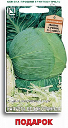 kapusta_belokoch_podarok