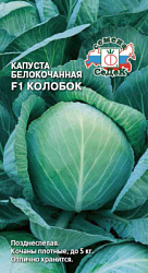kapusta_kolobok_f1