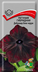 Петуния гибридная Дебонаир блек черри